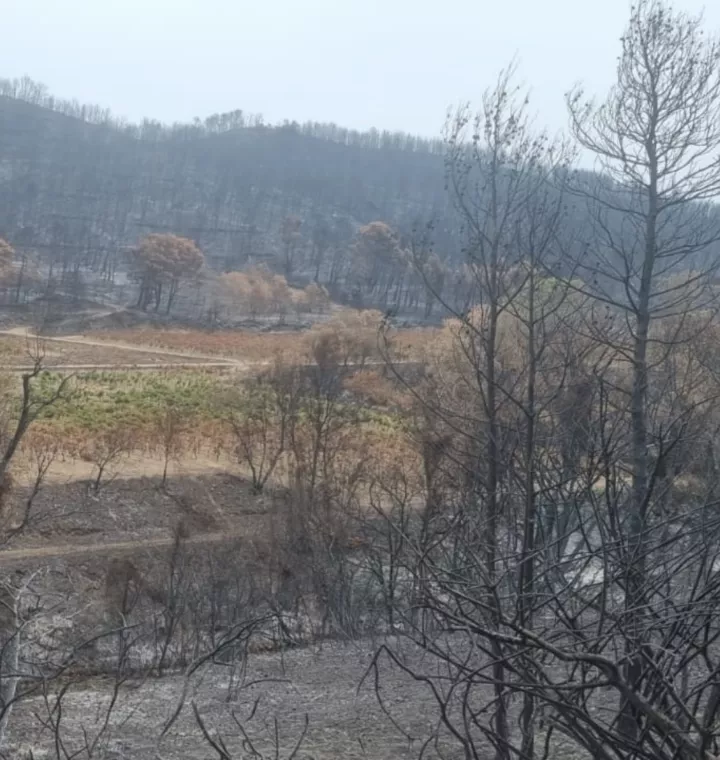 Incendies de l’Aude : le temps est à l’urgence, l’avenir à la résilience