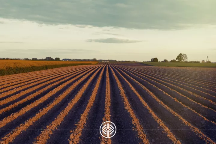 Un-projet-agricole-pour-la-France