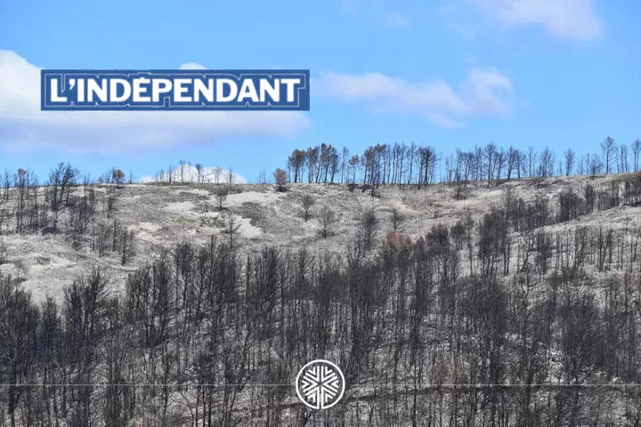 Cette-clarification-doit-etre-pour-le-Parti-Socialiste-un-nouveau-depart-pour-un-nouveau-chemin.-55